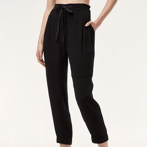 Aritzia Marais Pant